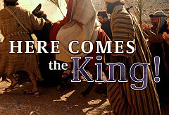 Luke 19-21 / Here Comes The King CD Set